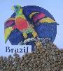 buy Green Brazil Cerrado Coffee